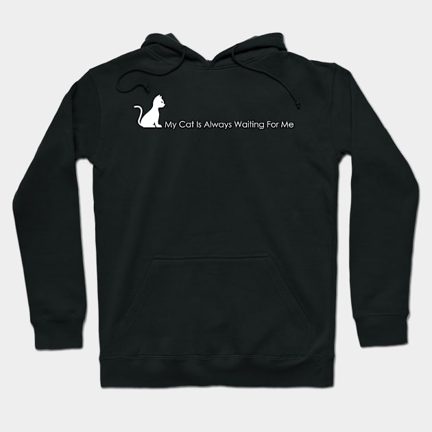 03 - My Cat Is Always Waiting For Me Hoodie by SanTees